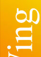 Banner stands / portable display stands: medium weight unit